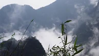 金秀圣堂山山间风光云雾视频的预览图